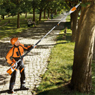 http://en.stihl.ca/upload/assetmanager/merkmal_imagefilename/scaled/websize/E-MSE180C-T001_g.jpg