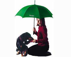 Regenschirm Regenschirm