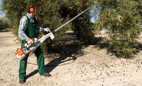 STIHL Olive Harvester