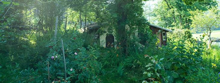 VIKING Garten-Häcksler