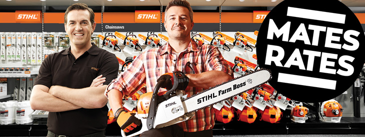 STIHL Chainsaws