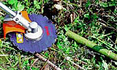 Circular saw blades