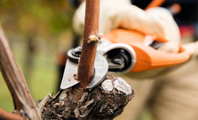 Tijeras de poda de batería STIHL PRO