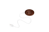 Induction charger Induction charger