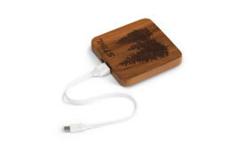Power Bank Holz