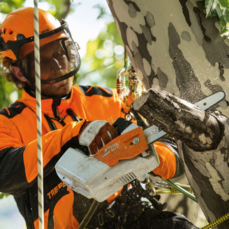 Motosierra de batería. → Stihl MSA 161 T. ➤