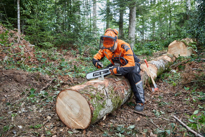 STIHL FRANCE : Chaîne de tronçonneuse 3/8 Rapid Hexa + Lime d