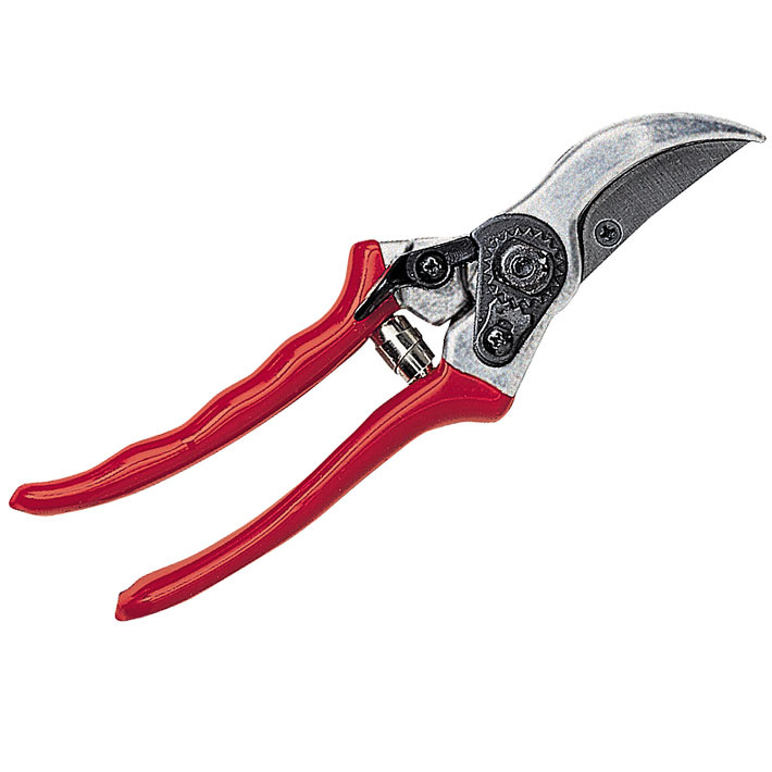 Secateurs Bypass PG 10