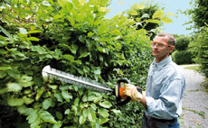 Expert advice on hedge trimming