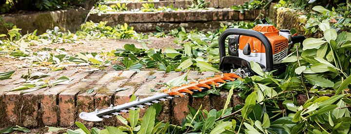 Hedge Trimmers, Long-reach Hedge Trimmers and Pole Pruners