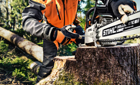 Petrol chainsaws for forestry