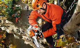 Professional Chainsaws - Tree Service Chainsaws