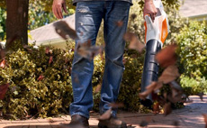 Cordless blowers