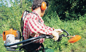 Petrol backpack brushcutters
