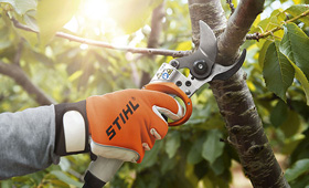 Cordless power systems pruning shears