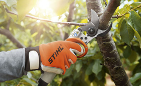 Battery-Powered Pruning Tools for Jobs Big and Small - FineGardening