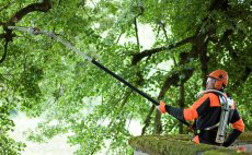 Motopodas para conservação e jardinagem profissional