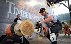 TIMBERSPORTS kollekció