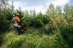 Petrol clearing saws