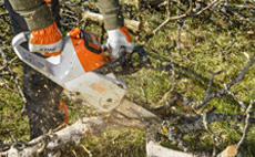 Cordless Chainsaws
