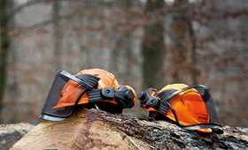 Head, eye and ear protection