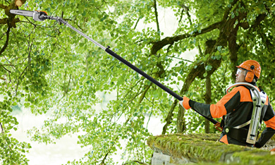 Pole Pruners