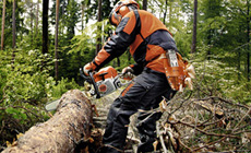 Petrol chainsaws for forestry