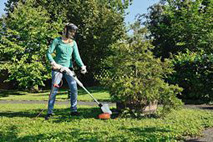 Ideali per giardini privati