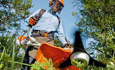 Brushcutters and Clearing Saws | STIHL India