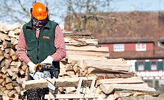 Motoseghe per il taglio di legna da ardere e la cura del verde.