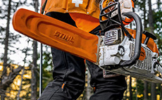 Accessori motoseghe e sramatori
