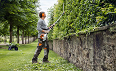 Petrol long-reach hedge trimmers