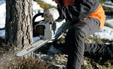 Petrol Chainsaws for Forestry