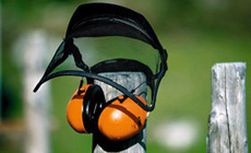 Face and ear protection